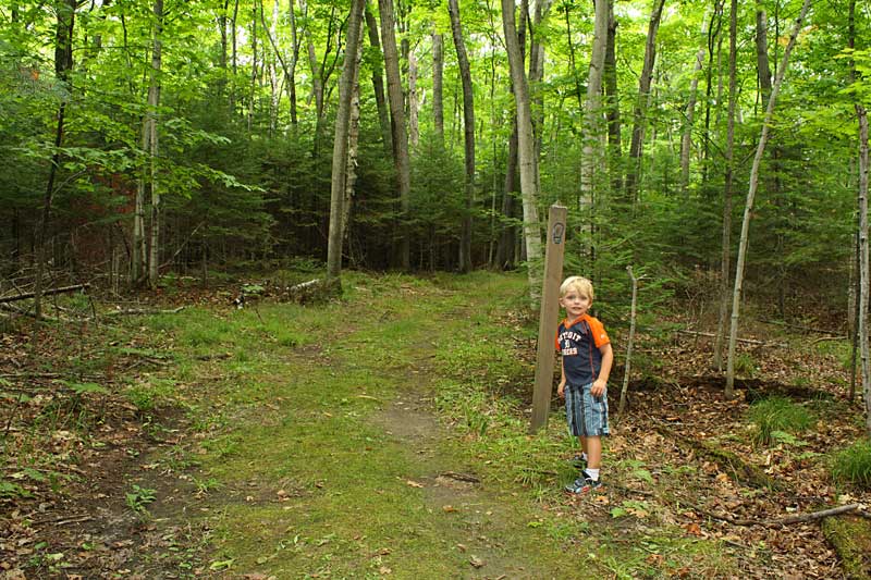 trail markers hiking at fayette state park